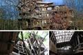 位于:设计论坛-设计品鉴世界上最大的树屋[2011/12/29]